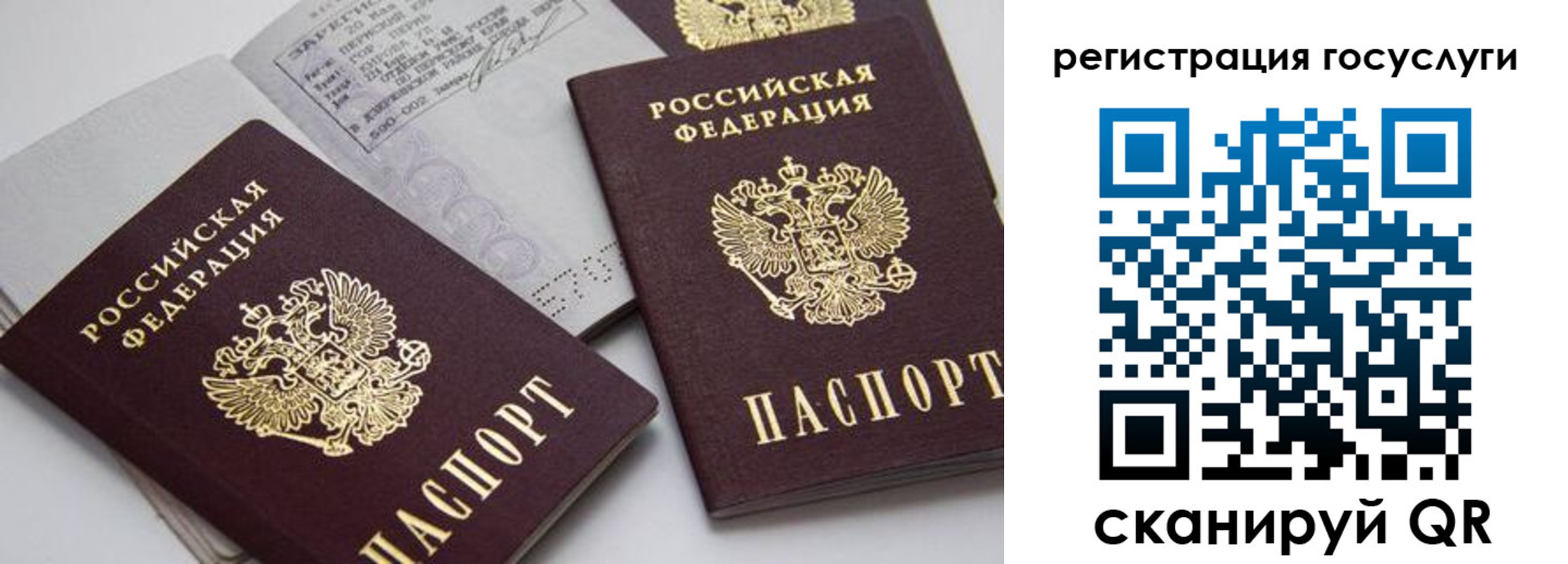 прописка ребенка в Ивантеевке